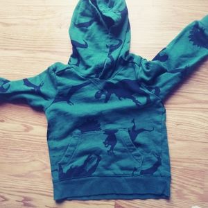 Boys dino hoodie